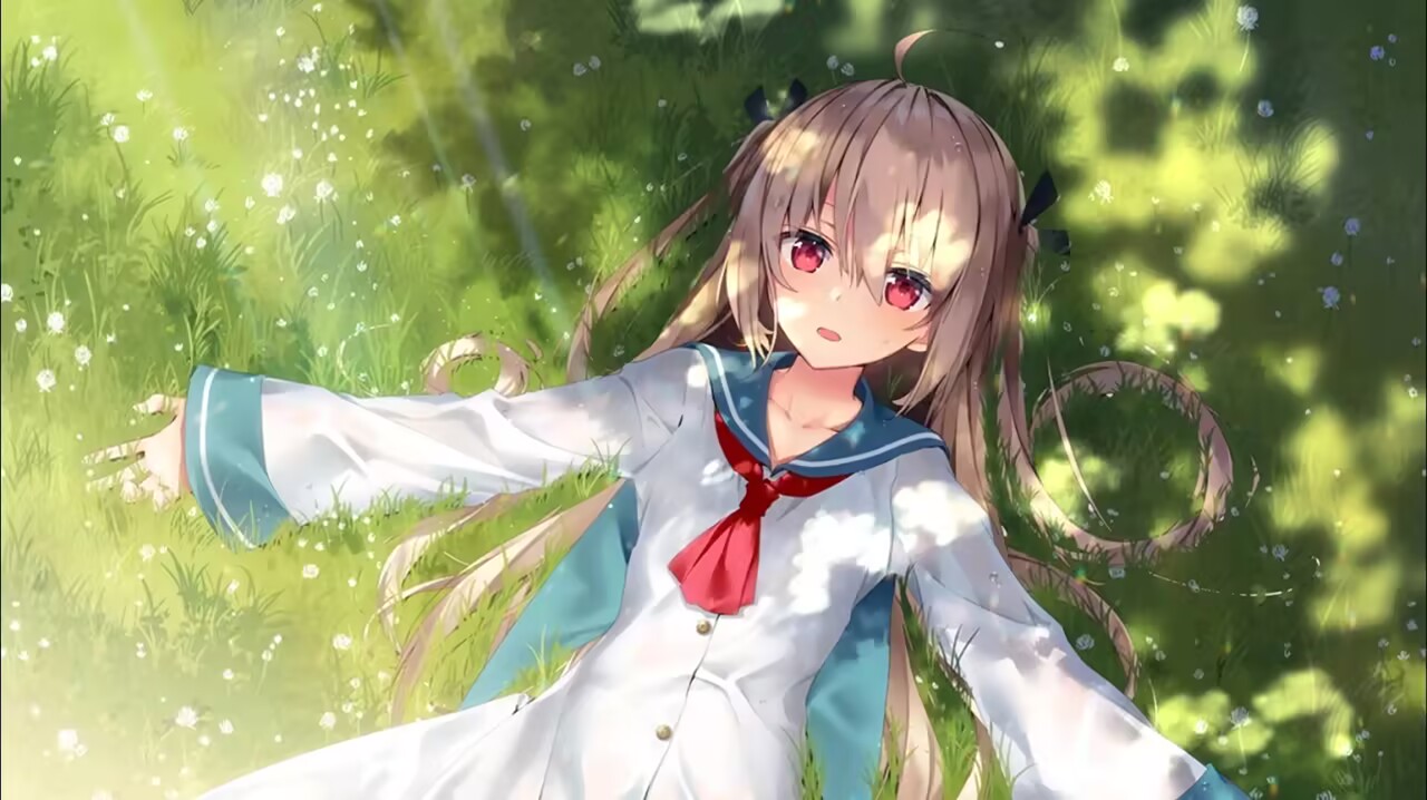 boxmoe_header_banner_img